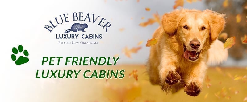 Pet Friendly Cabins In Oklahoma Luxury Cabins In Broken Bow