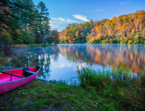 Plan a Full-Day Broken Bow Canoe Trip