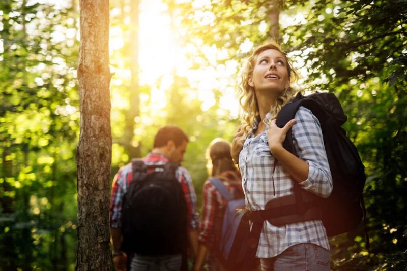 Beavers Bend Hiking Trails: 3 Unique Woodland Destinations