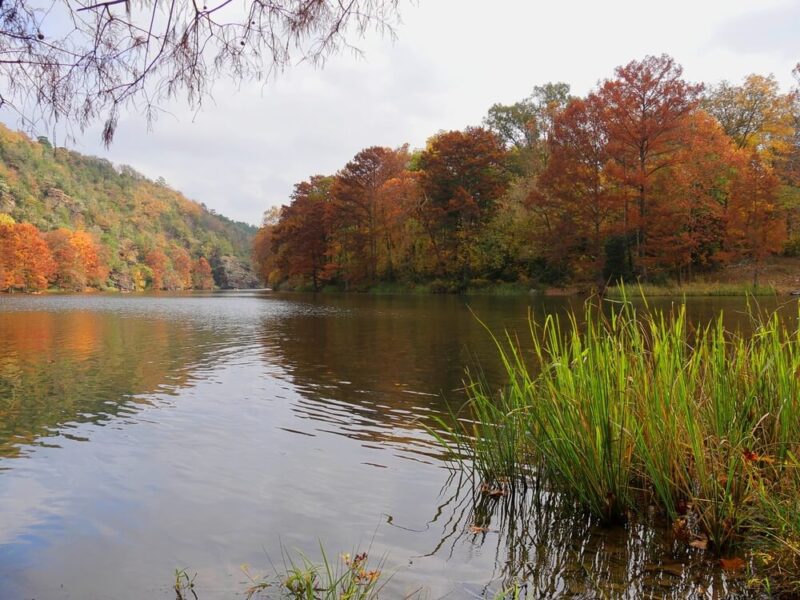 Where to Witness Fall Foliage in Broken Bow / Hochatown